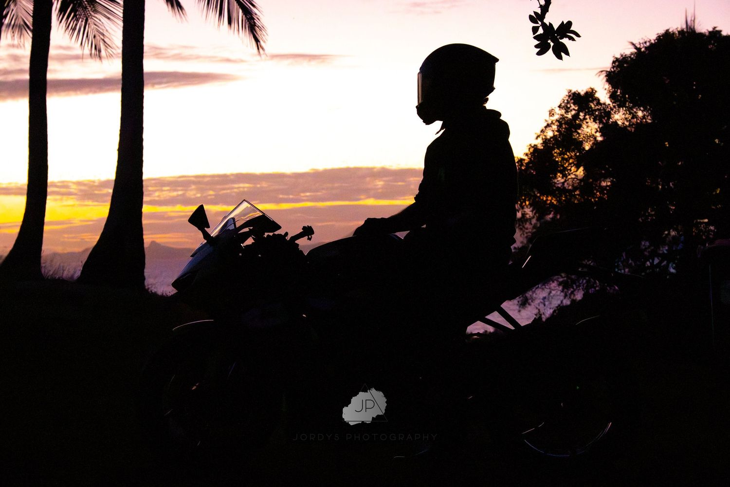 Silhouettes of palm trees and foliage against a vibrant orange and purple sunset sky creating a tropical scene.