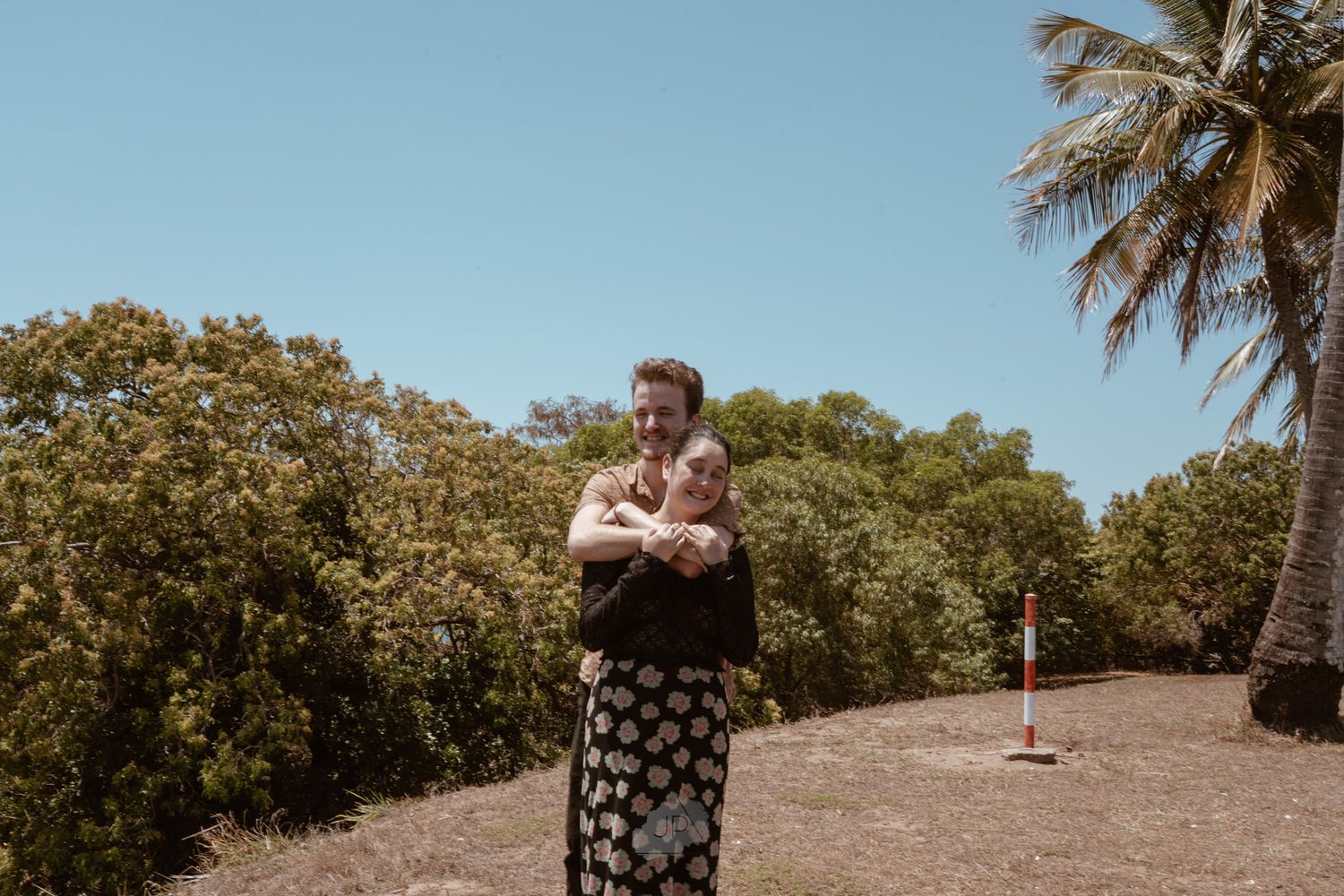 A series of tropical beach photos with palm trees and coastal views along a sunny shoreline.