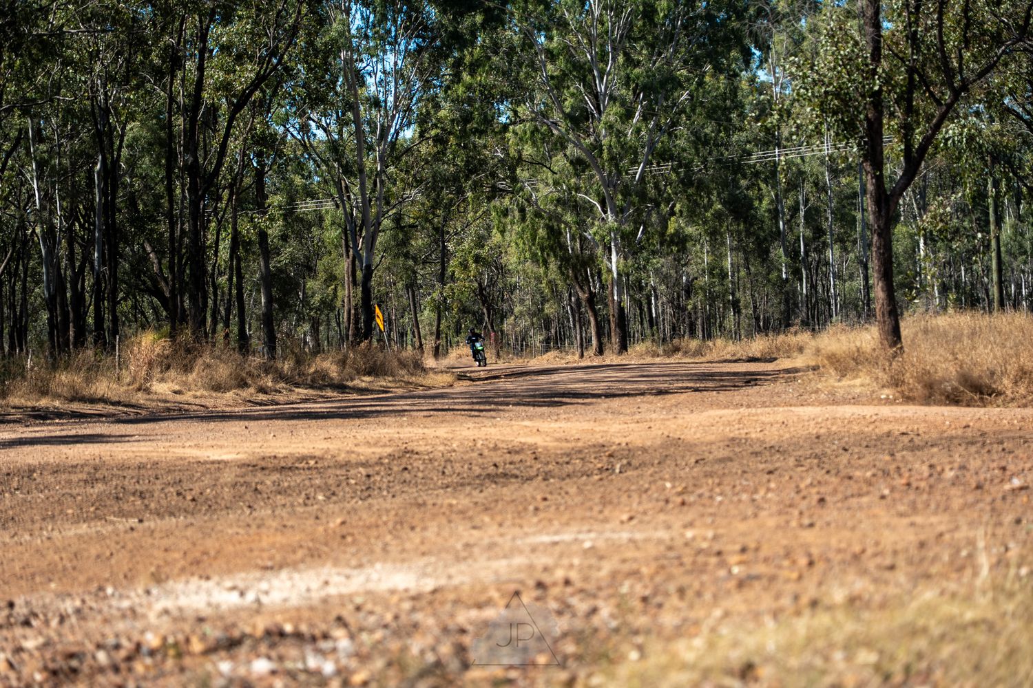 A line of scenic forest shots along a rural Australian dirt road showing tall eucalyptus trees and dry grasslands.