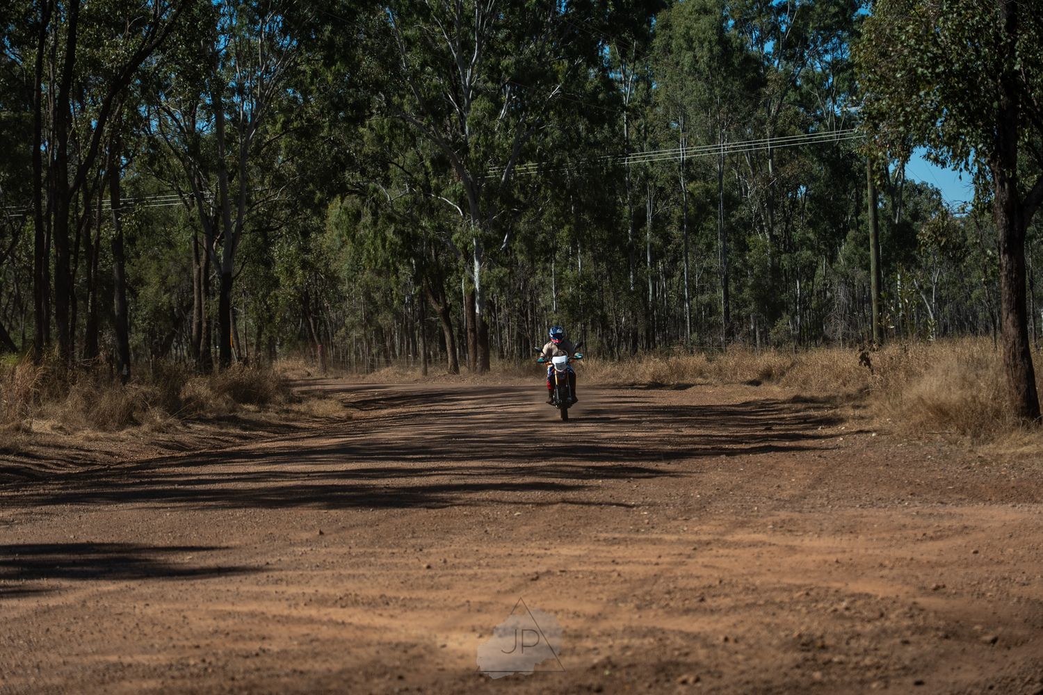 Rider navigates a winding dirt trail through an Australian bushland forest on a sunny afternoon.