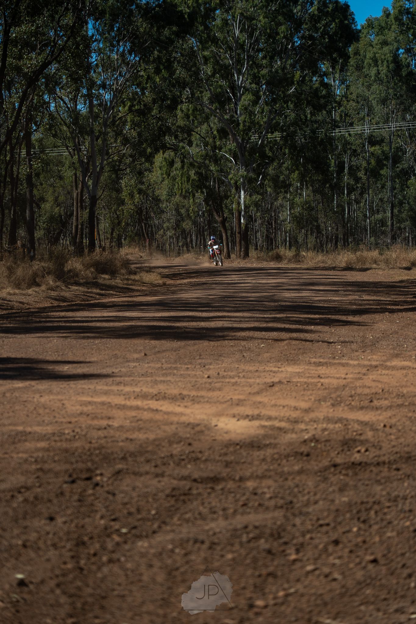 Mountain bike rider traverses a dusty dirt trail winding through tall eucalyptus trees on a sunny day.