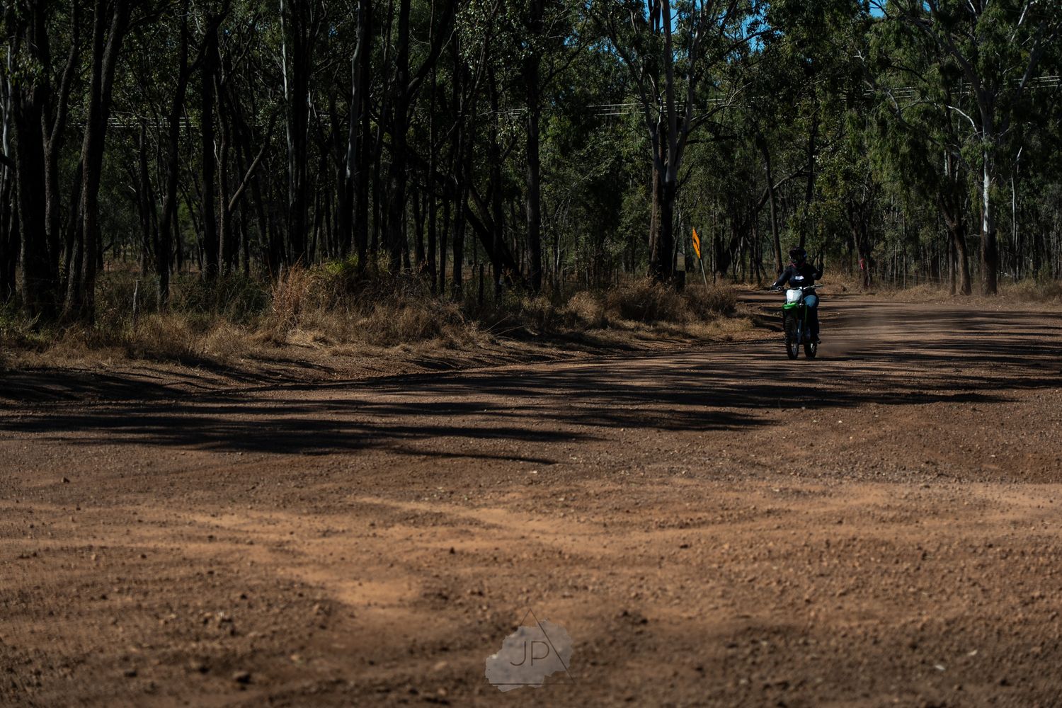 A winding dirt walking trail leads through a dense forest with tall trees and scattered shadows.