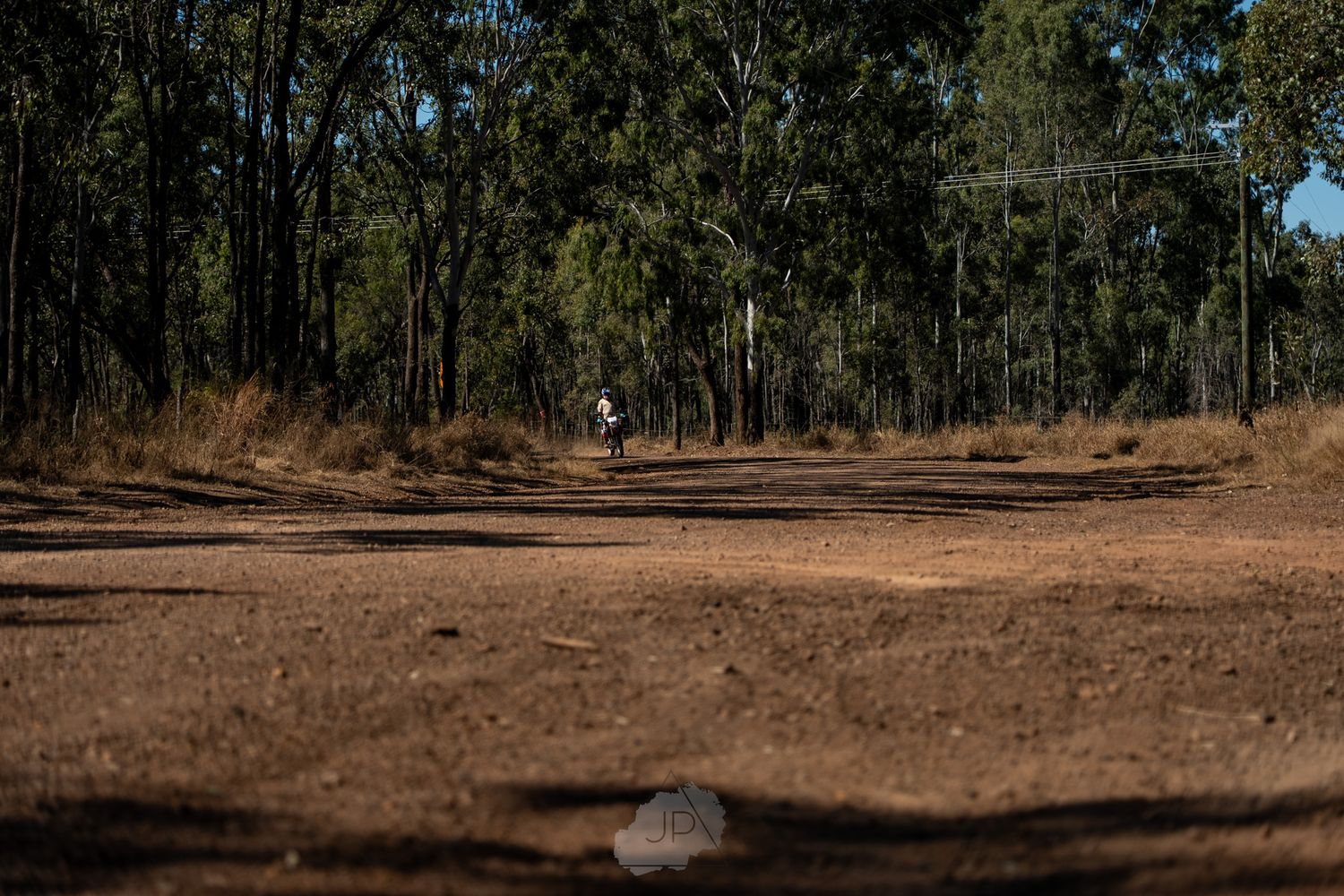A panoramic view of a wooded area with scattered trees and dry brown ground in late autumn or winter conditions.