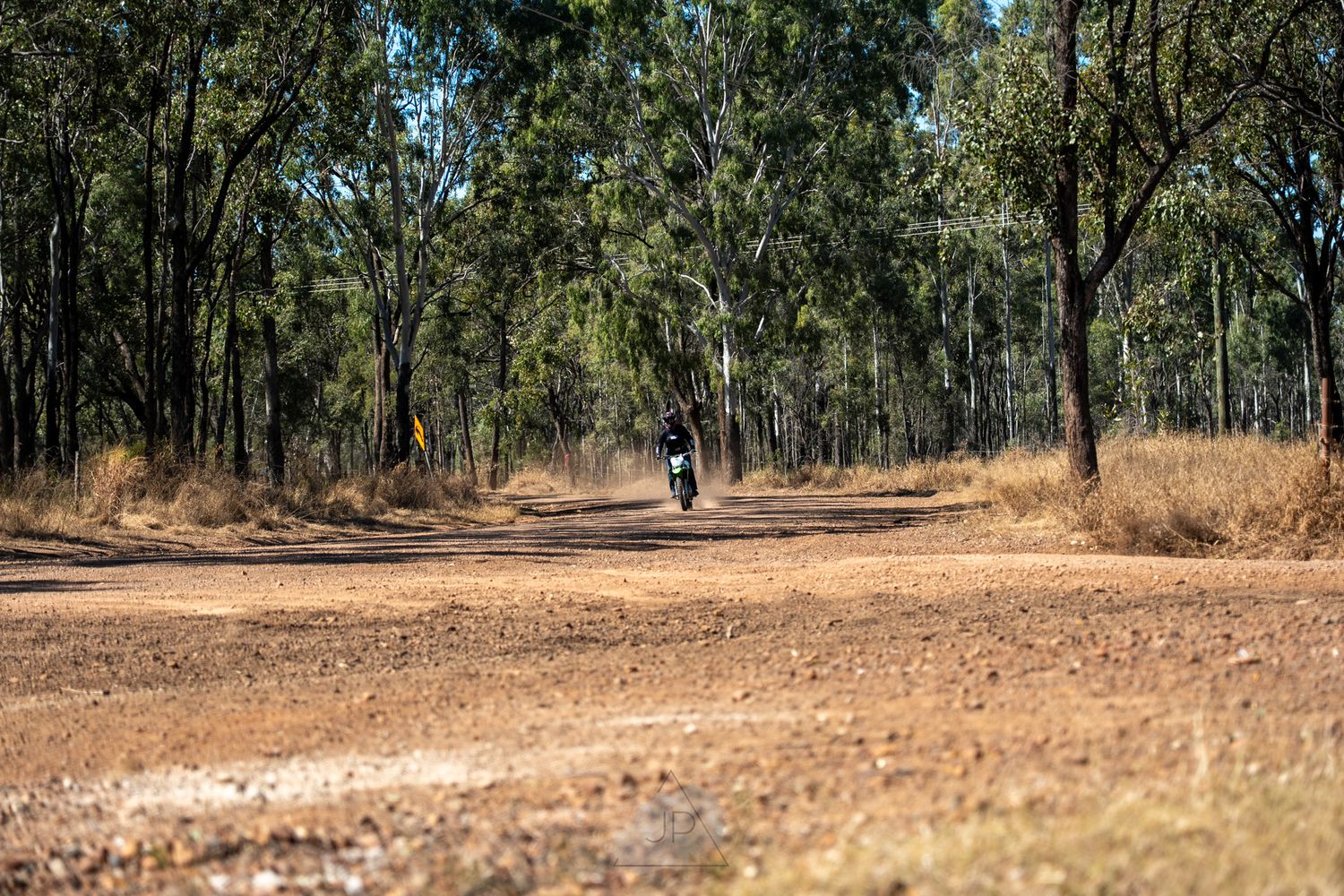 Scenic dirt path winding through Australian bushland with tall eucalyptus trees and dry grass on a sunny day.