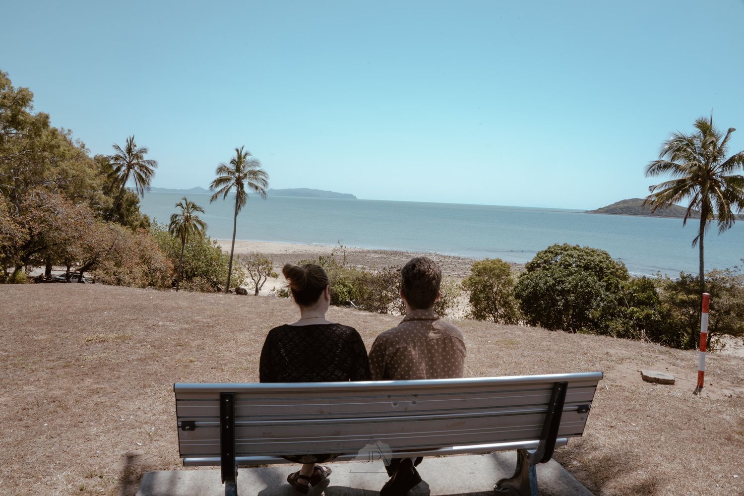 A panoramic view of a desert landscape with palm trees and benches overlooking a distant mountain range.