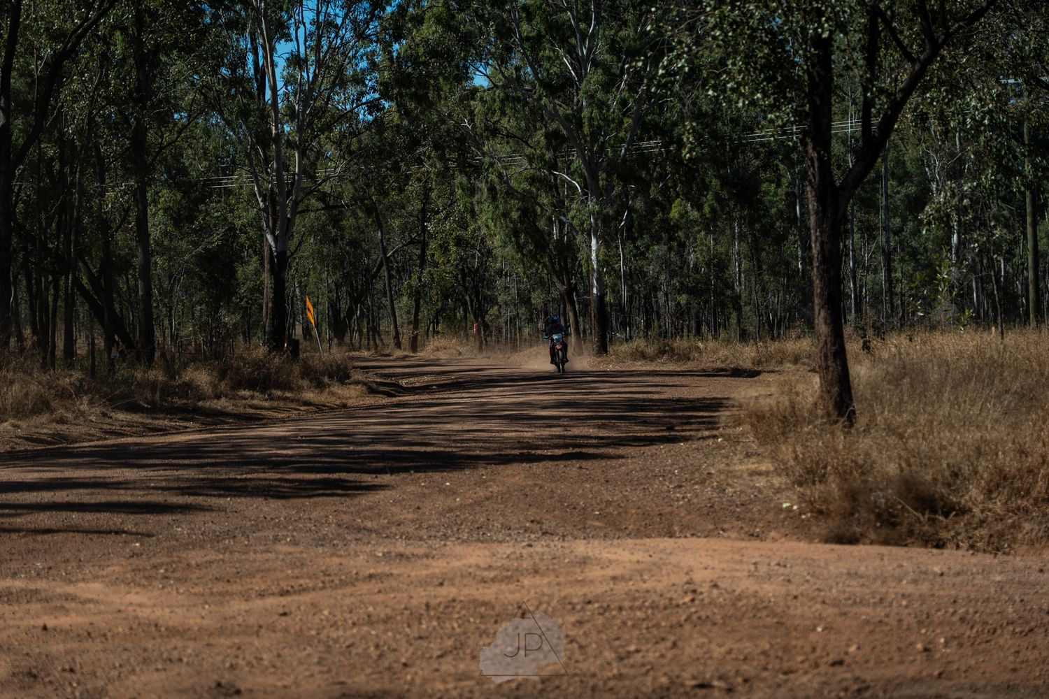 A dirt path winds through an arid woodland area with tall trees casting shadows on dry ground.