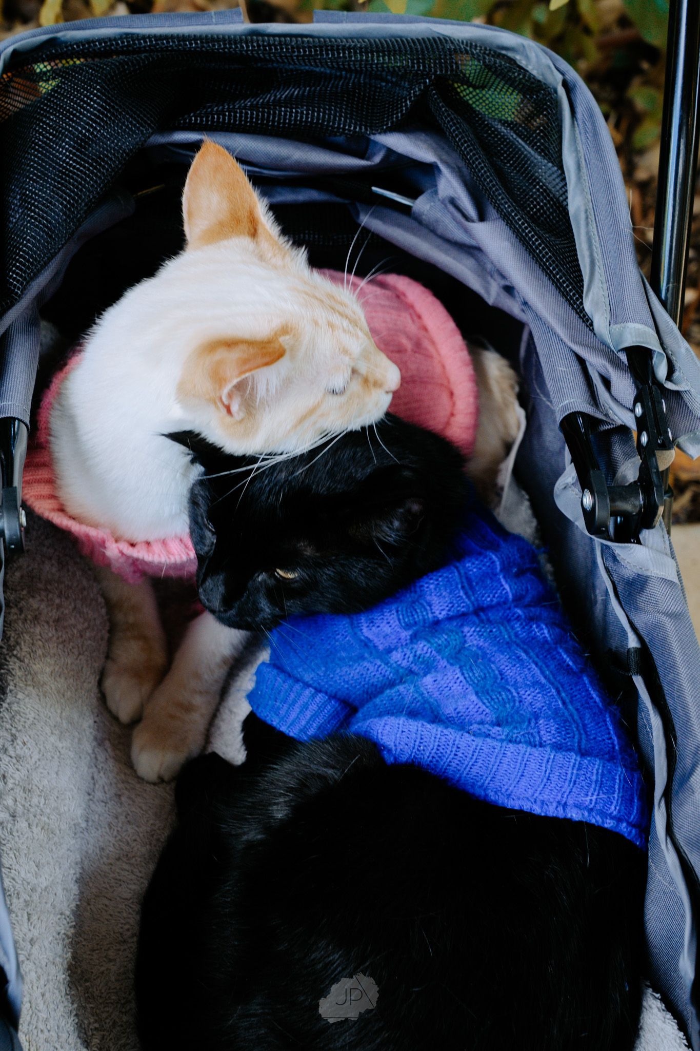 A cat wearing a blue and pink knitted sweater lies comfortably on a dark surface.
