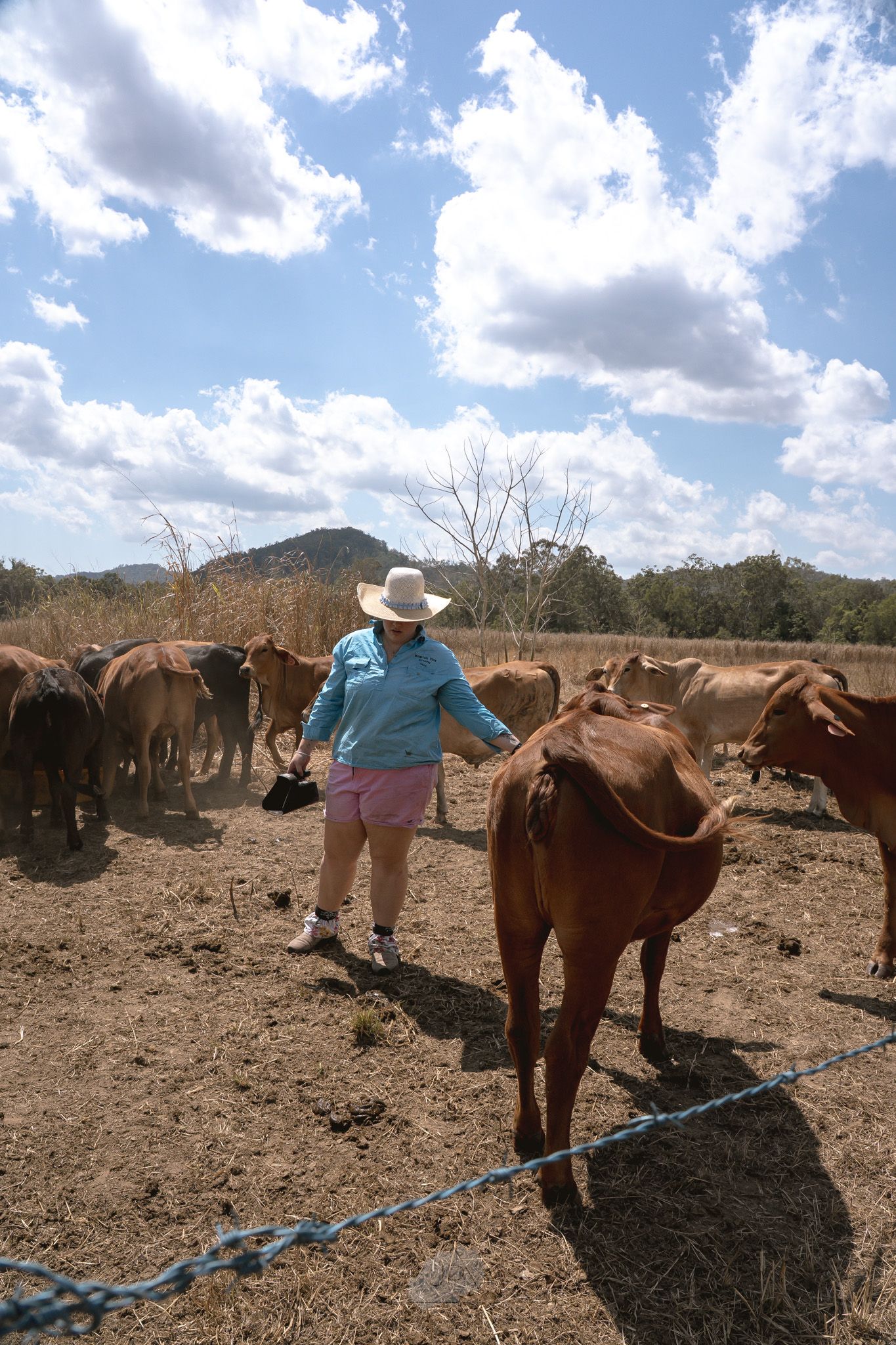 A rancher in a cowboy hat leads a brown horse across dry terrain under a bright blue sky with white clouds.