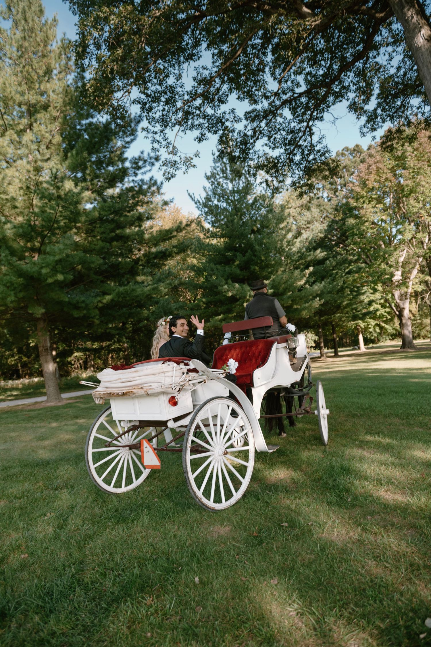 Bride and groom riding in an elegant white horse-drawn carriage surrounded by lush green trees.