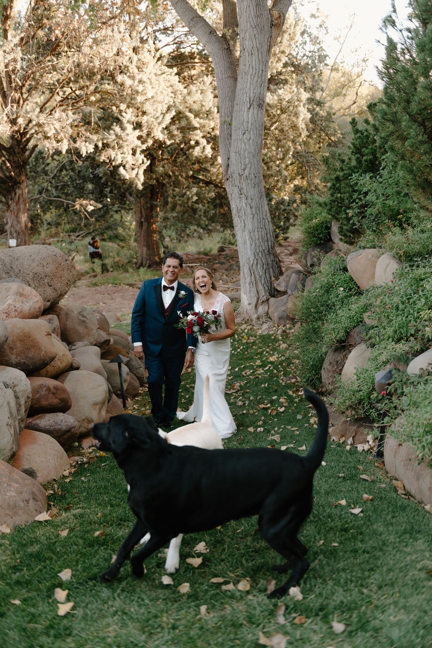 A couple in wedding attire shares a moment in a garden setting with large boulders and trees in the background.