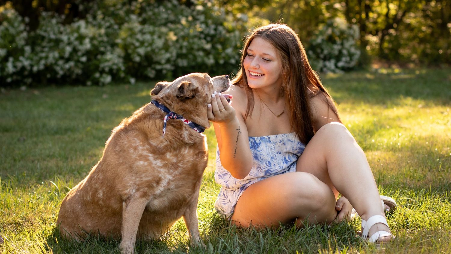 Young woman sitting on grass petting her golden brown dog outdoors in a sunny park setting.