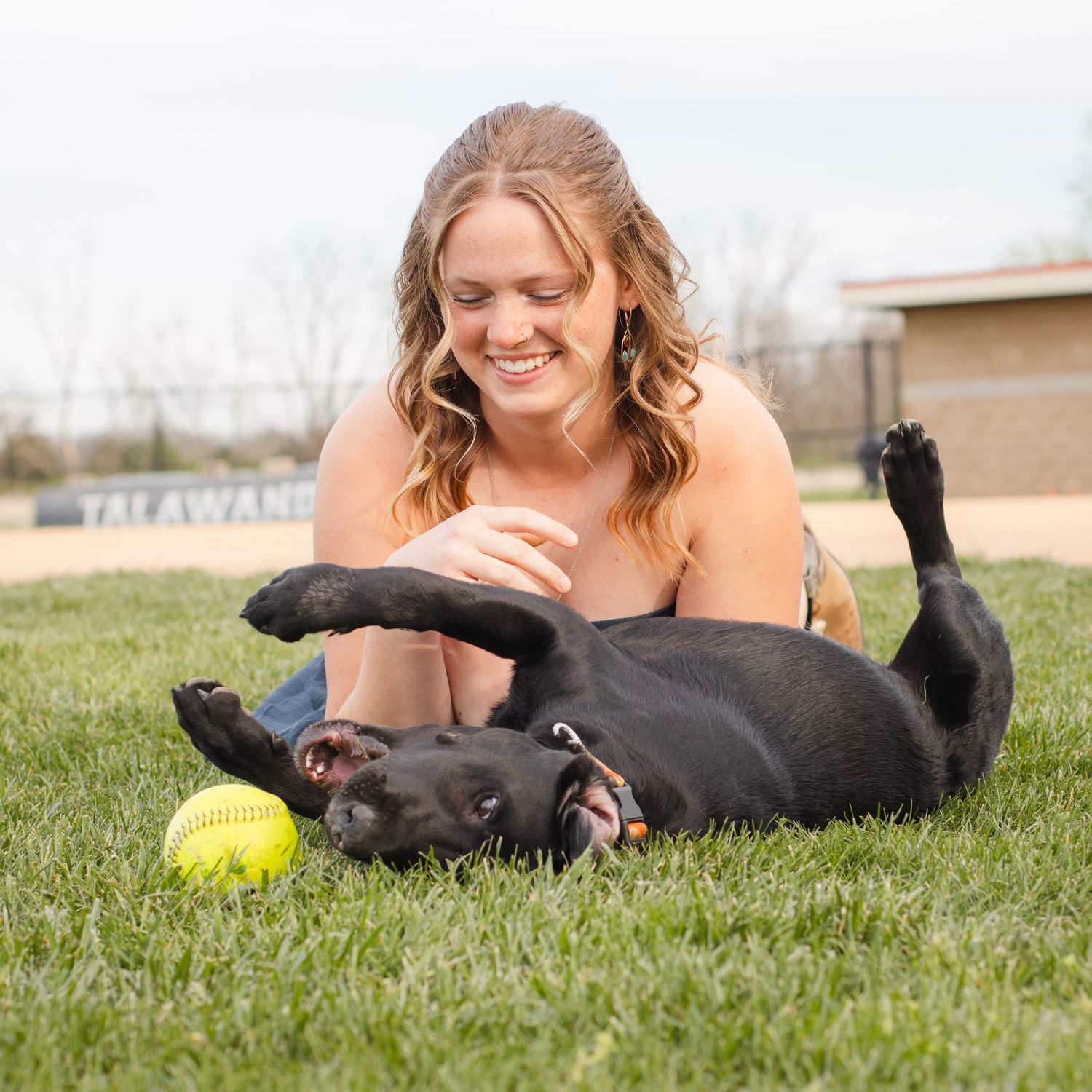 A smiling woman plays with a black Labrador rolling on green grass, with a yellow tennis ball nearby.