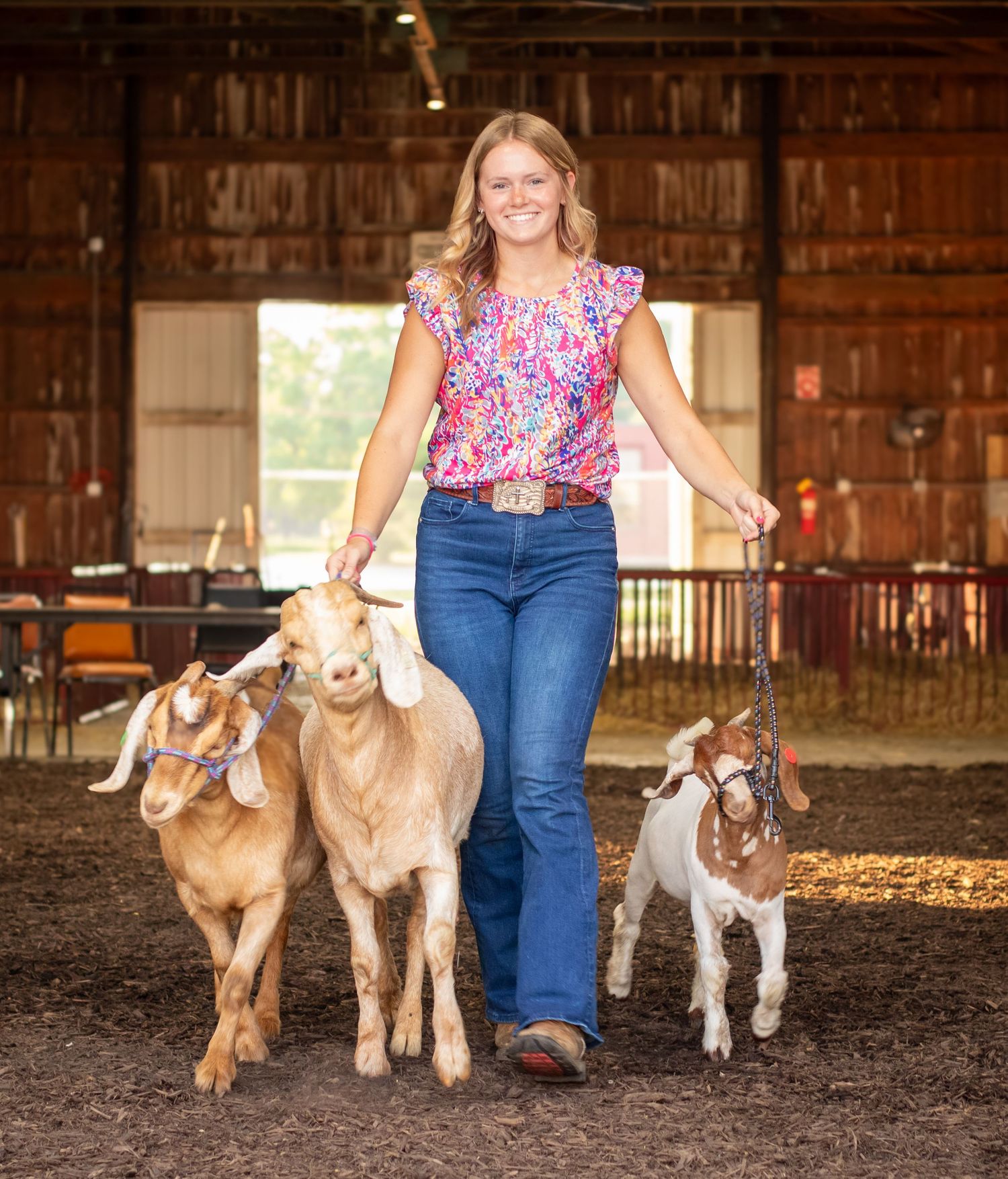 Several goats follow along in a barn setting during a casual photoshoot.