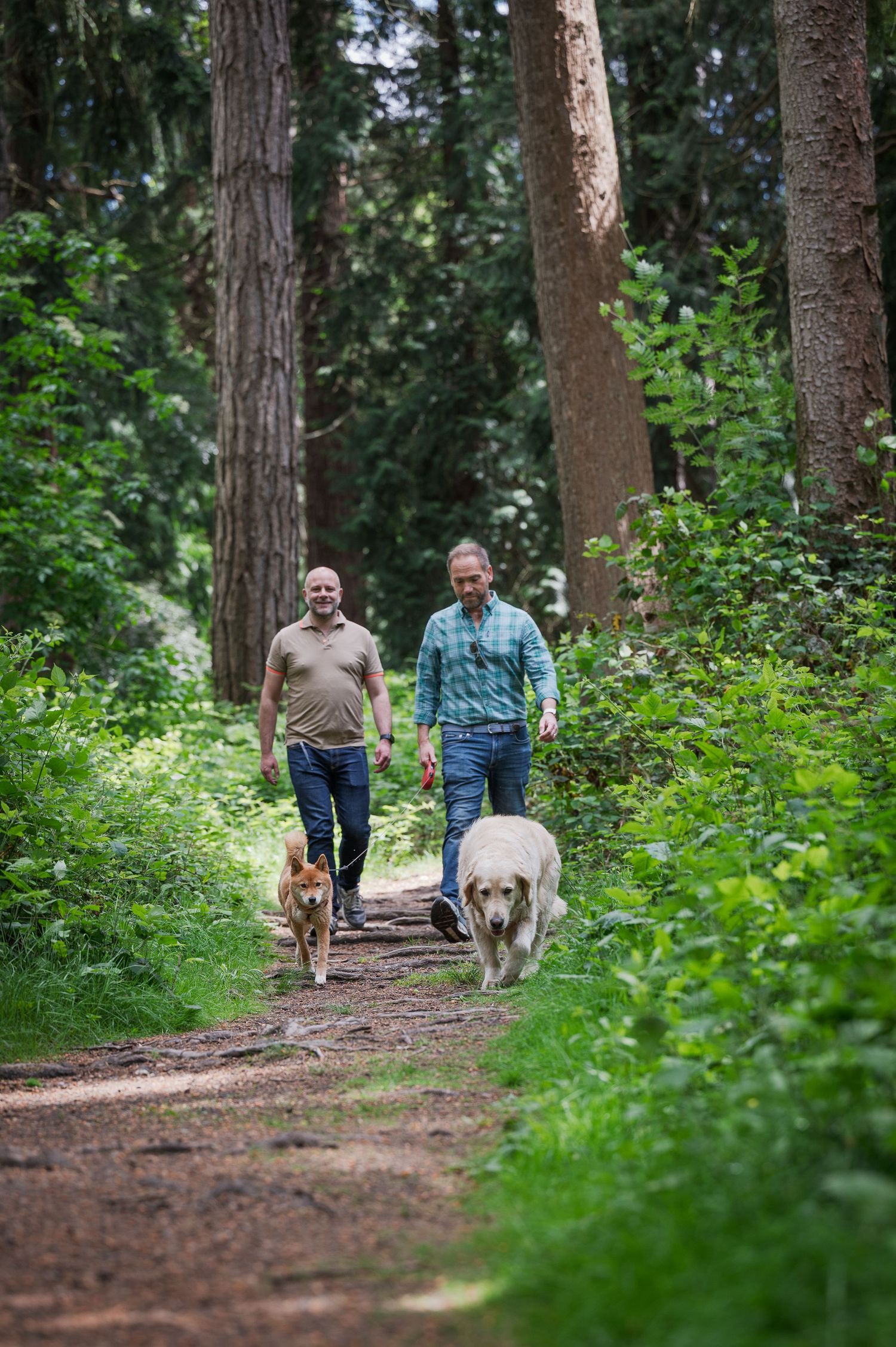 Pet Portrait Photographer, London and Surrey