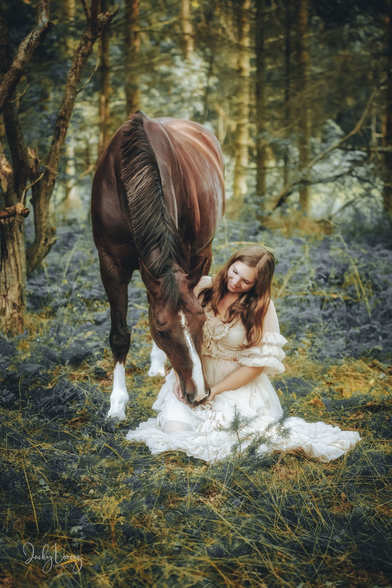 Pferdeshooting, Pferdefotografie Jacky Lorenz Fotografie, Plaidt, Koblenz, Neuwied, Westerwald und Umgebung