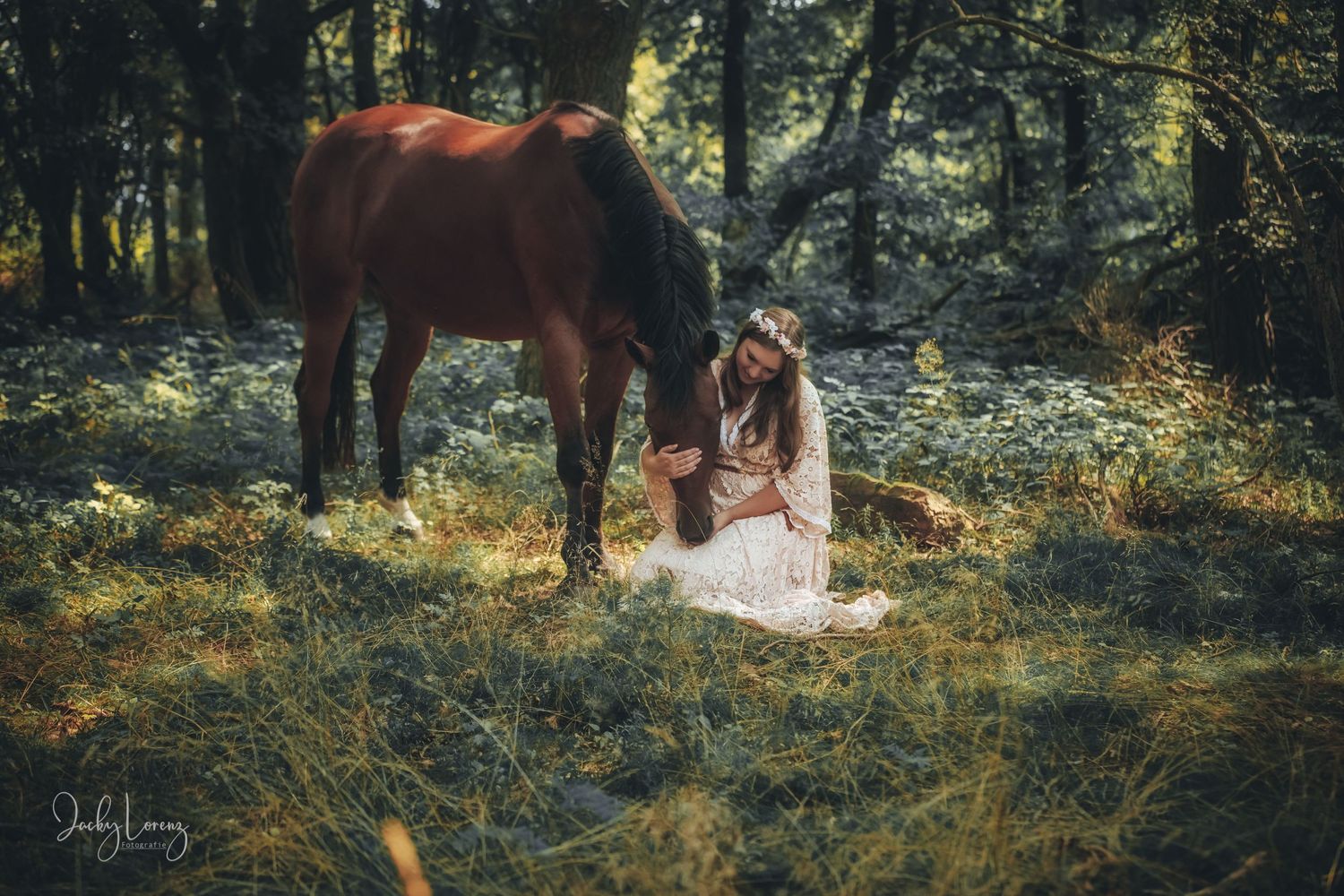 Pferdeshooting, Pferdefotografie Jacky Lorenz Fotografie, Plaidt, Koblenz, Neuwied, Westerwald und Umgebung