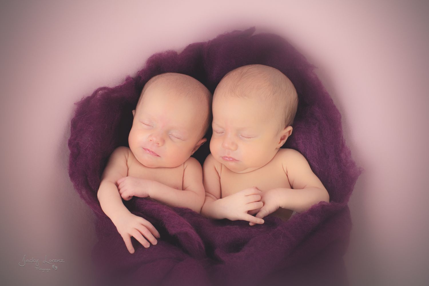 Neugeborene, Zwillinge, Shooting, Newbornshooting, Newbornfotografie Jacky Lorenz Fotografie, Plaidt, Koblenz, Neuwied und Umgebung