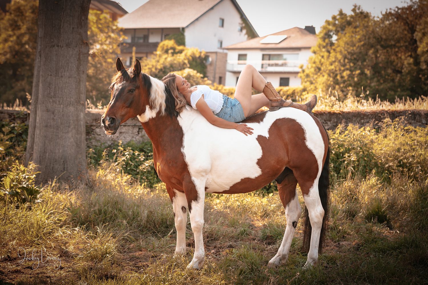 Pferdeshooting, Pferdefotografie Jacky Lorenz Fotografie, Plaidt, Koblenz, Neuwied, Westerwald und Umgebung
