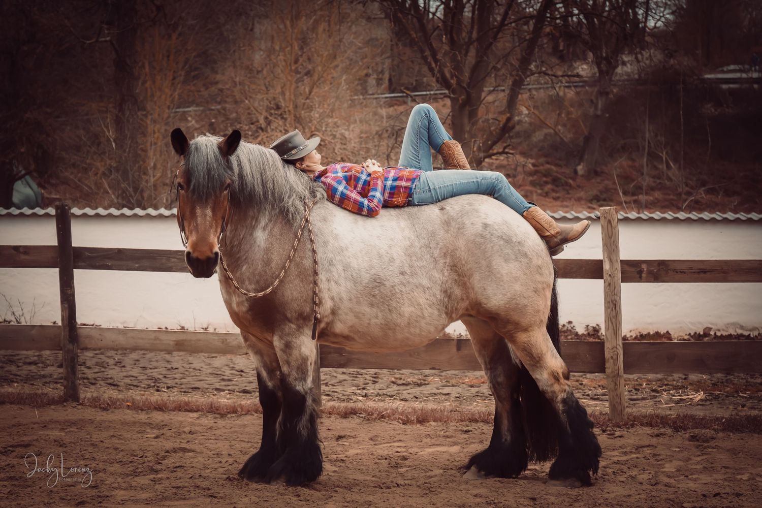 Pferdeshooting, Pferdefotografie Jacky Lorenz, Plaidt, Koblenz, Neuwied, Westerwald und Umgebung