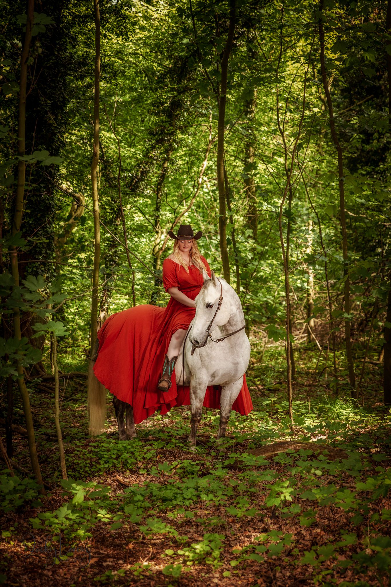 Pferdeshooting, Pferdefotografie Jacky Lorenz Fotografie, Plaidt, Koblenz, Neuwied, Westerwald und Umgebung