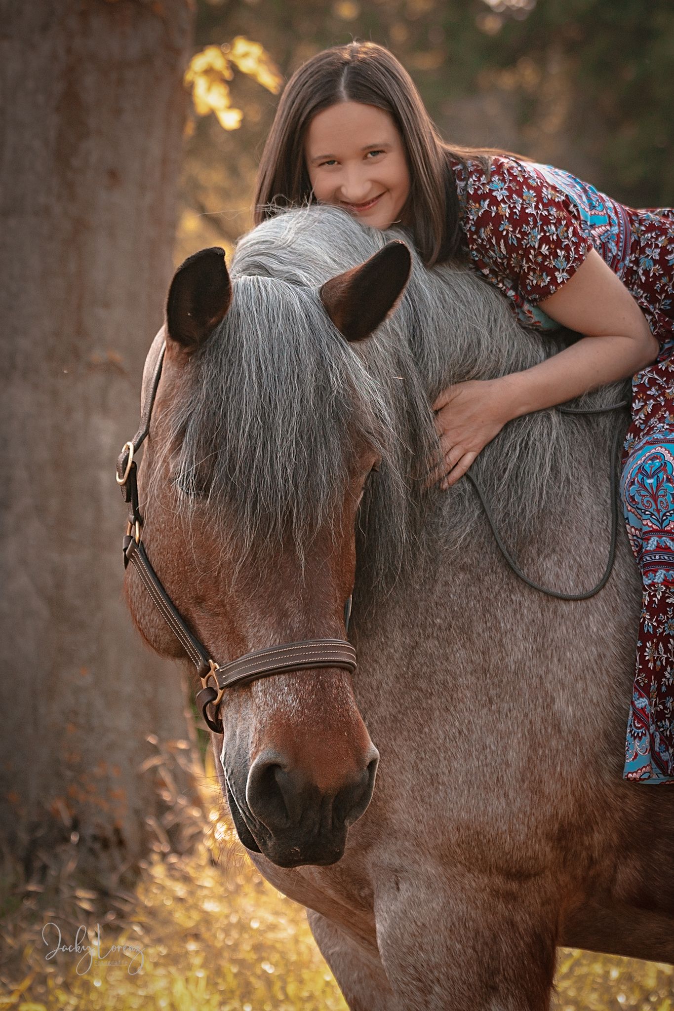 Pferdeshooting, Pferdefotografie Jacky Lorenz Fotografie, Plaidt, Koblenz, Neuwied, Westerwald und Umgebung