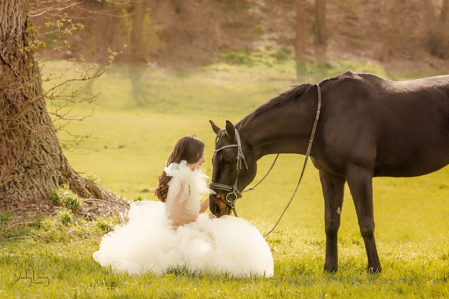 Pferdeshooting, Pferdefotografie Jacky Lorenz Fotografie, Plaidt, Koblenz, Neuwied, Westerwald und Umgebung