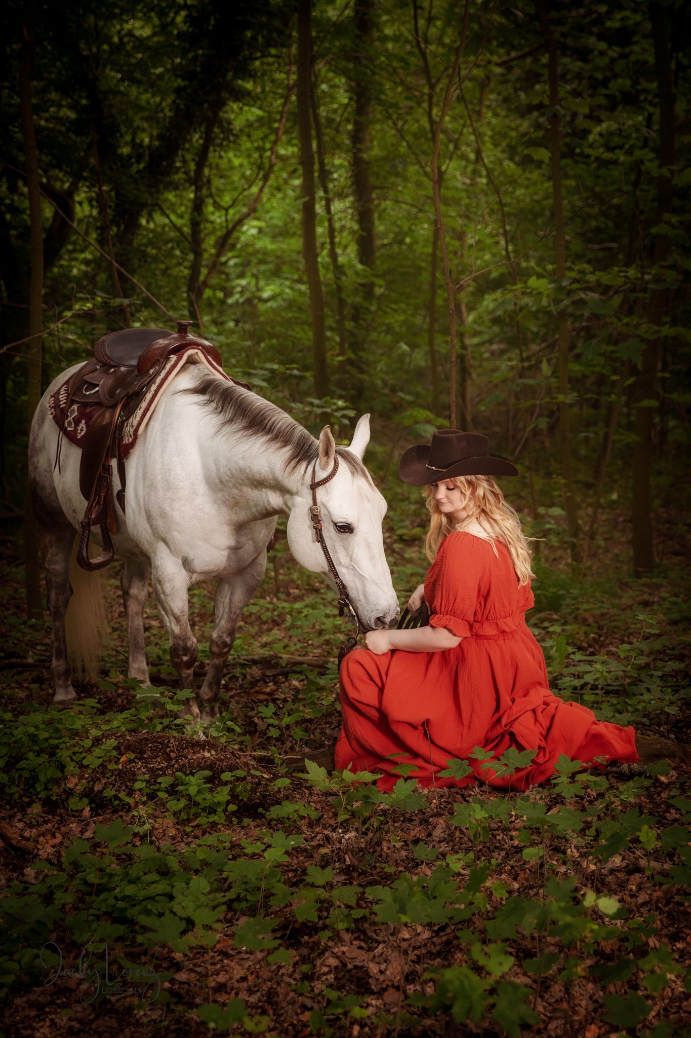 Pferdeshooting, Pferdefotografie Jacky Lorenz Fotografie, Plaidt, Koblenz, Neuwied, Westerwald und Umgebung