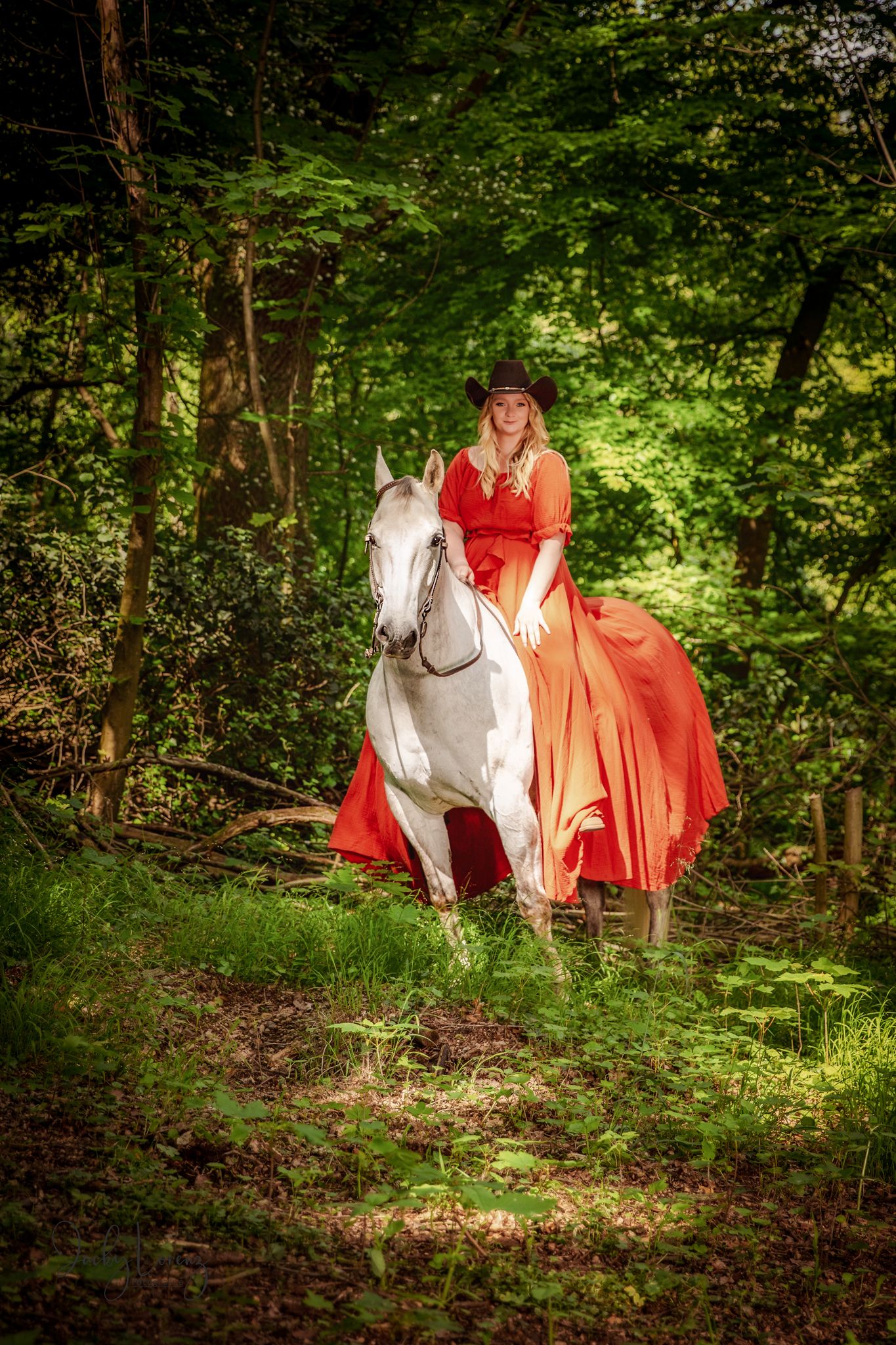 Pferdeshooting, Pferdefotografie Jacky Lorenz Fotografie, Plaidt, Koblenz, Neuwied, Westerwald und Umgebung