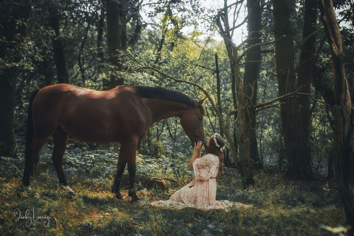 Pferdeshooting, Pferdefotografie Jacky Lorenz Fotografie, Plaidt, Koblenz, Neuwied, Westerwald und Umgebung