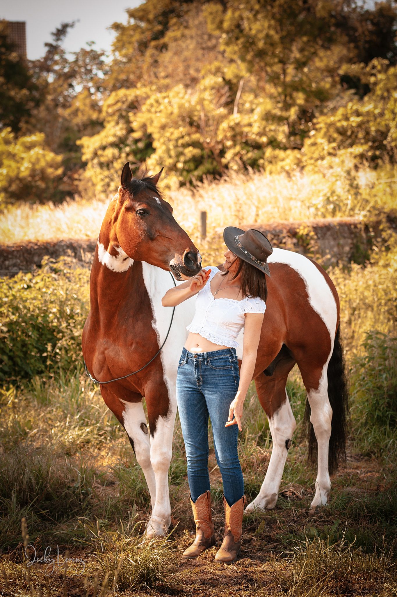 Pferdeshooting, Pferdefotografie Jacky Lorenz Fotografie, Plaidt, Koblenz, Neuwied, Westerwald und Umgebung