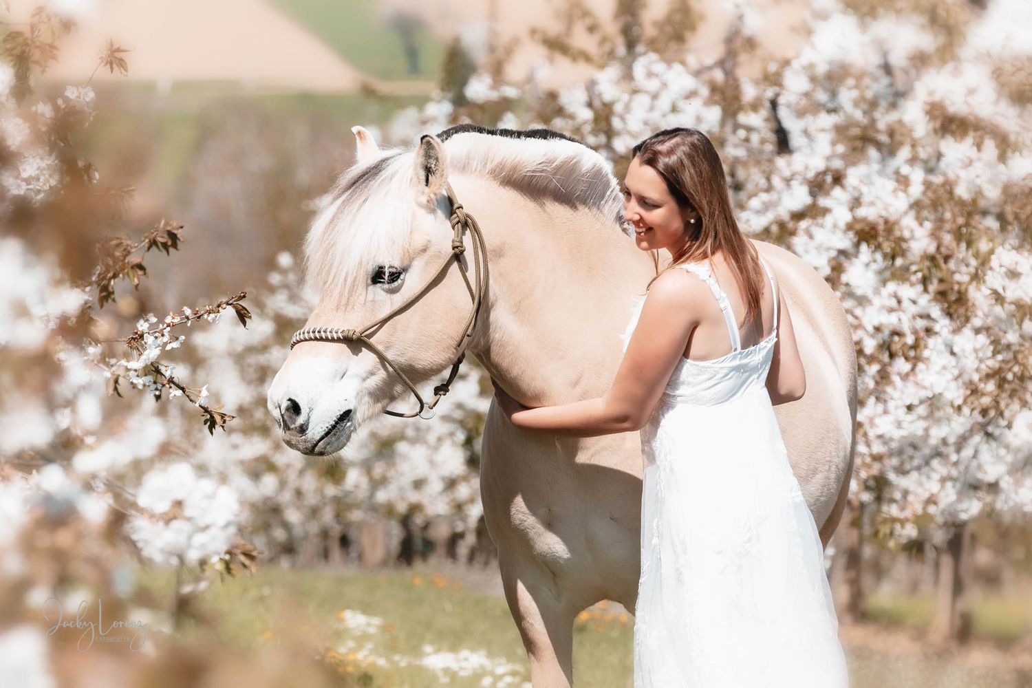 Pferdeshooting, Pferdefotografie Jacky Lorenz, Plaidt, Koblenz, Neuwied, Westerwald und Umgebung