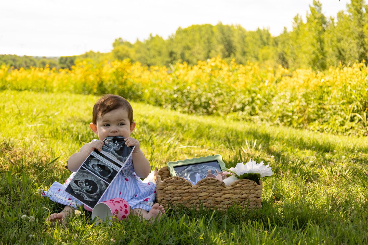 Outdoor family photography in Tennessee.
