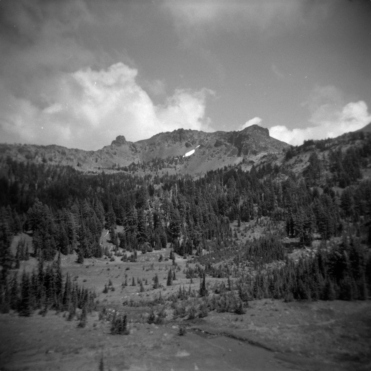 A black and white film Holga photograph of a meadow, forests, and mountains on the Pacific Crest Trail.