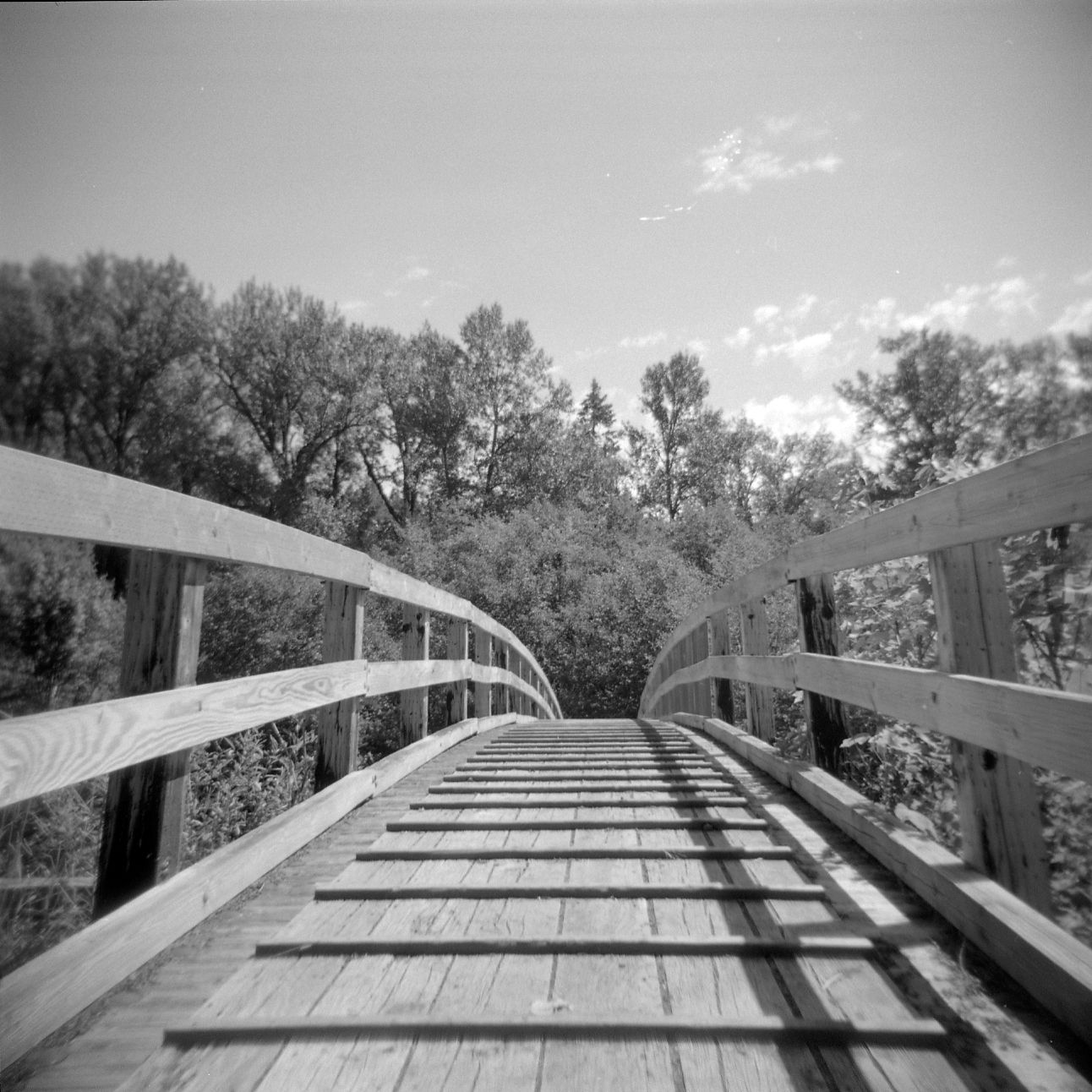 A black and white film Holga photograph of a wooden arched bridge on the Pacific Crest Trail.