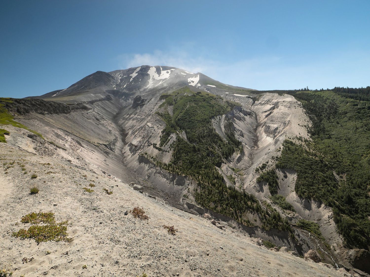 A wide view of a very deep river valley on Loowit or Mount St. Helens with partial forest running down the rocky ashy slopes.