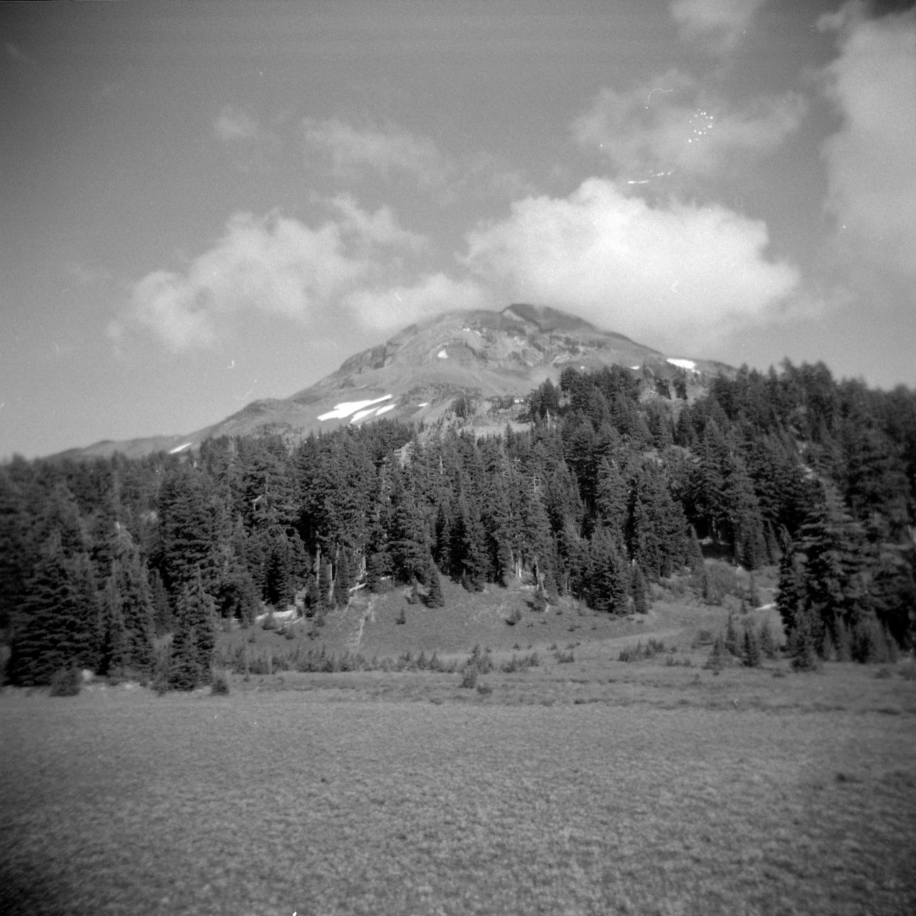 A black and white film Holga photograph of a meadow near one of the peaks of the Sisters Wilderness on the Pacific Crest Trail in Oregon.
