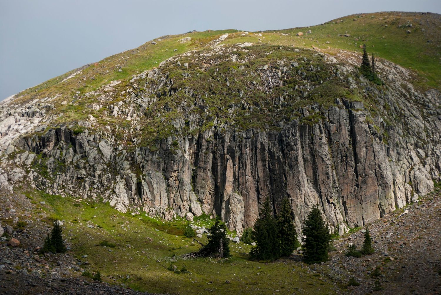 A lovely cliff lit by soft light and green ground cover near Emerald Ridge on Mount Rainier.