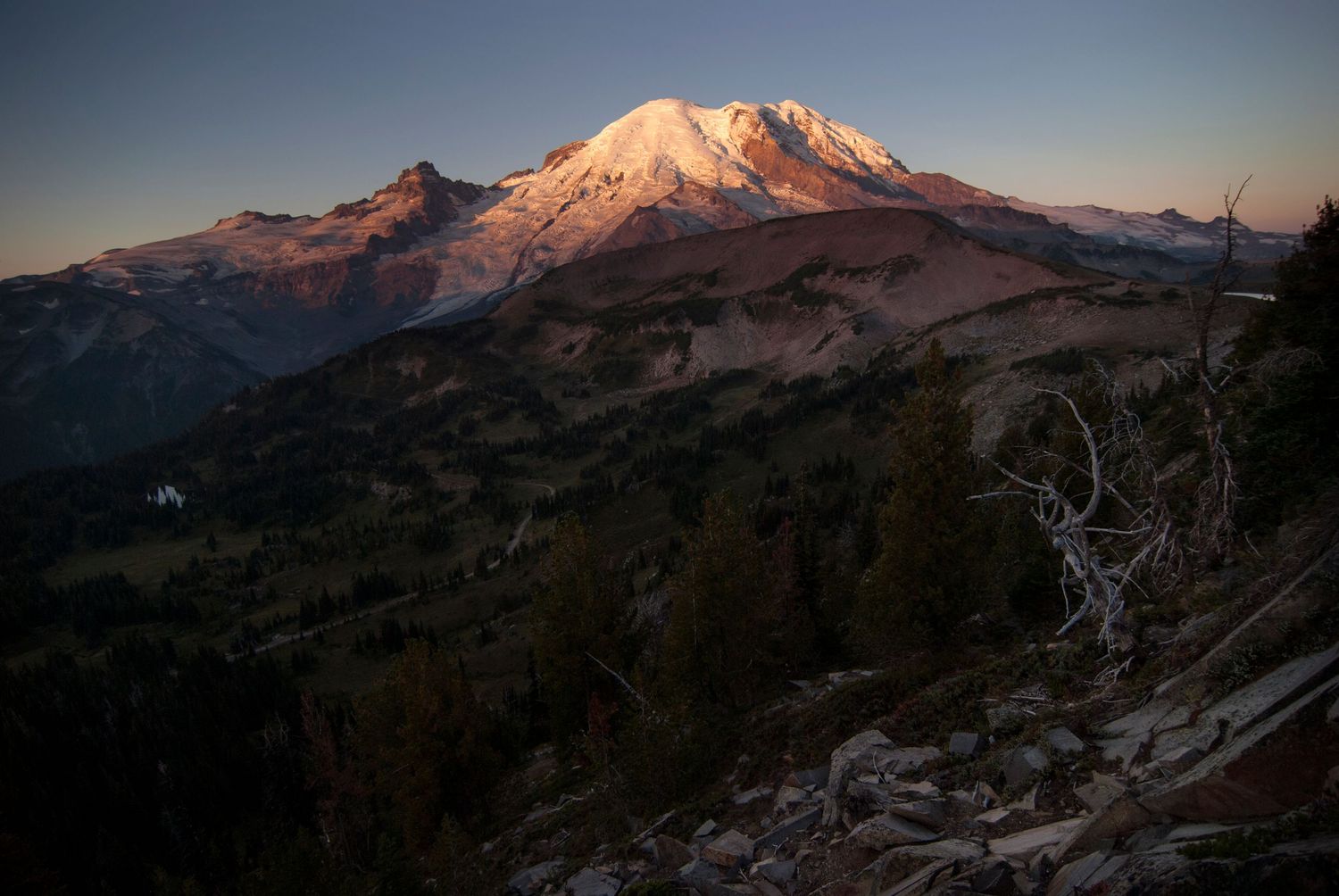 A sunrise view from the sunrise area of Mount Rainier, with dark sub-alpine hills in the foreground below the summit lit up a bright pink.