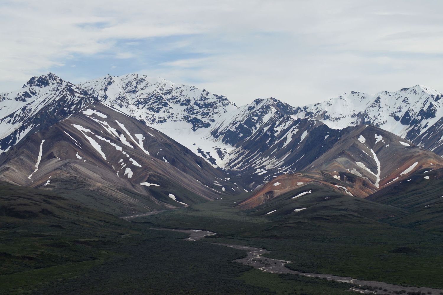 Mountains of the Alaska Range stand in desaturated glory above a river with gravel bars cutting through dark open green tundra.