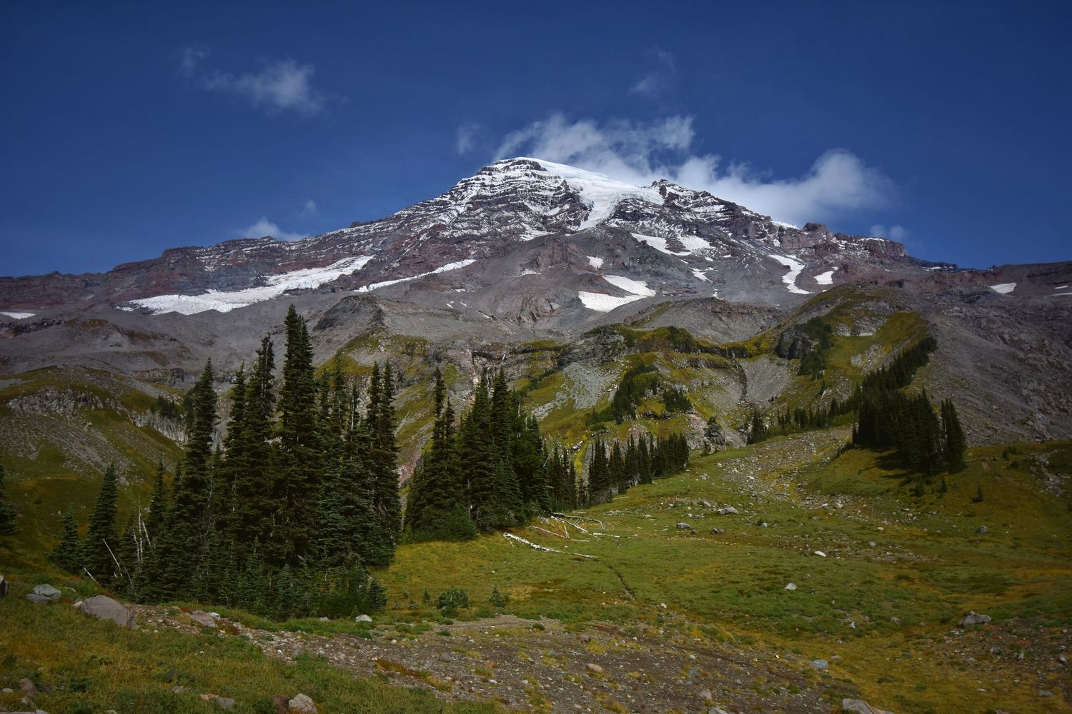 Mount Rainier seen from an up close and unusual angle, sub-alpine meadows with conifer trees lead up to its rugged rocky glaciated flanks.