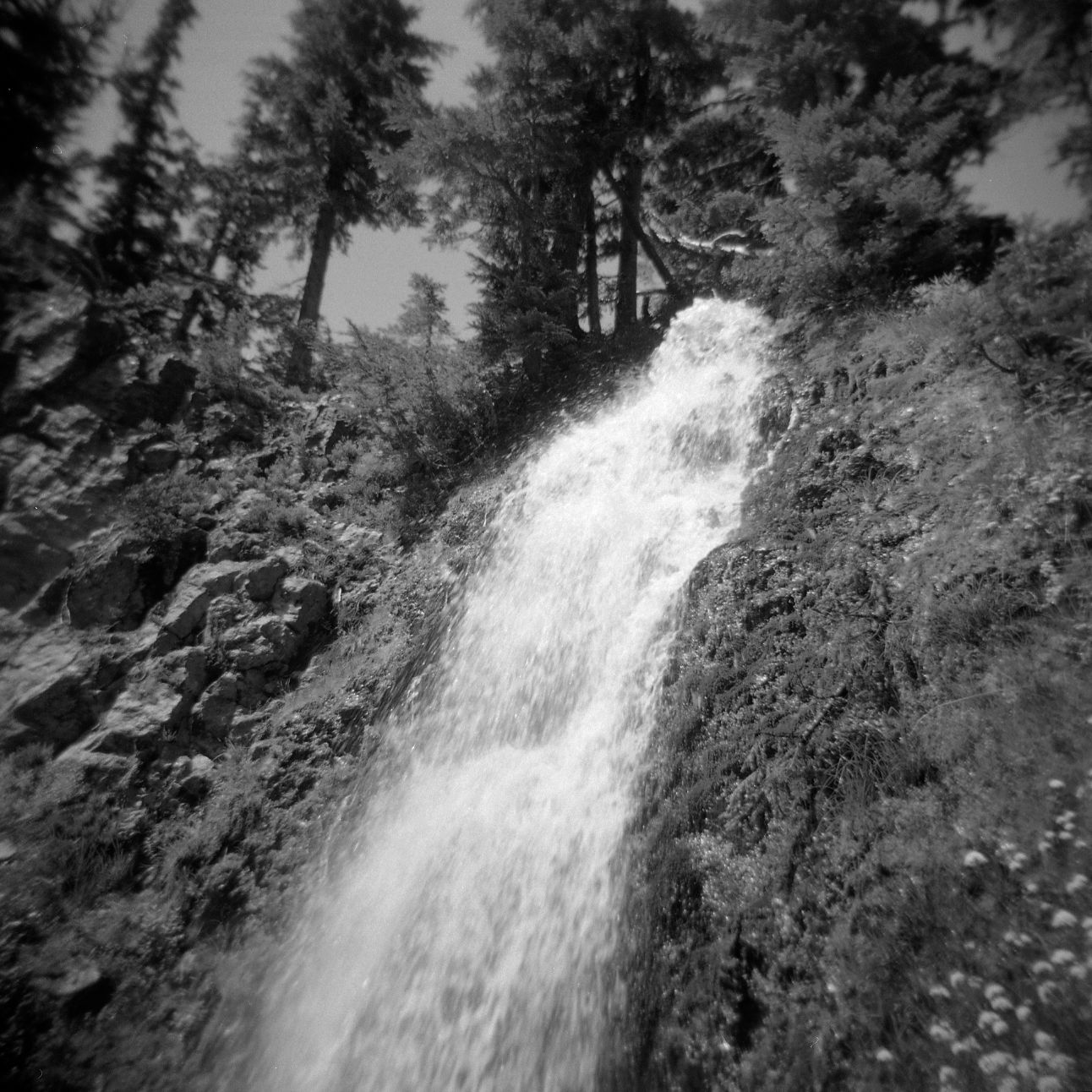 A black and white film Holga photograph of Obsidian Falls on the Pacific Crest Trail in Oregon.