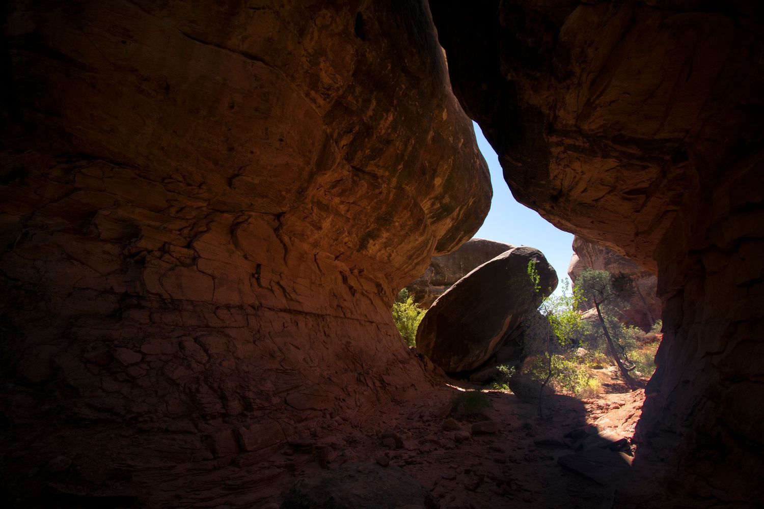 A view from inside a slot canyon in Canyonlands National Park, with a large boulder near where the sandstone opens up.