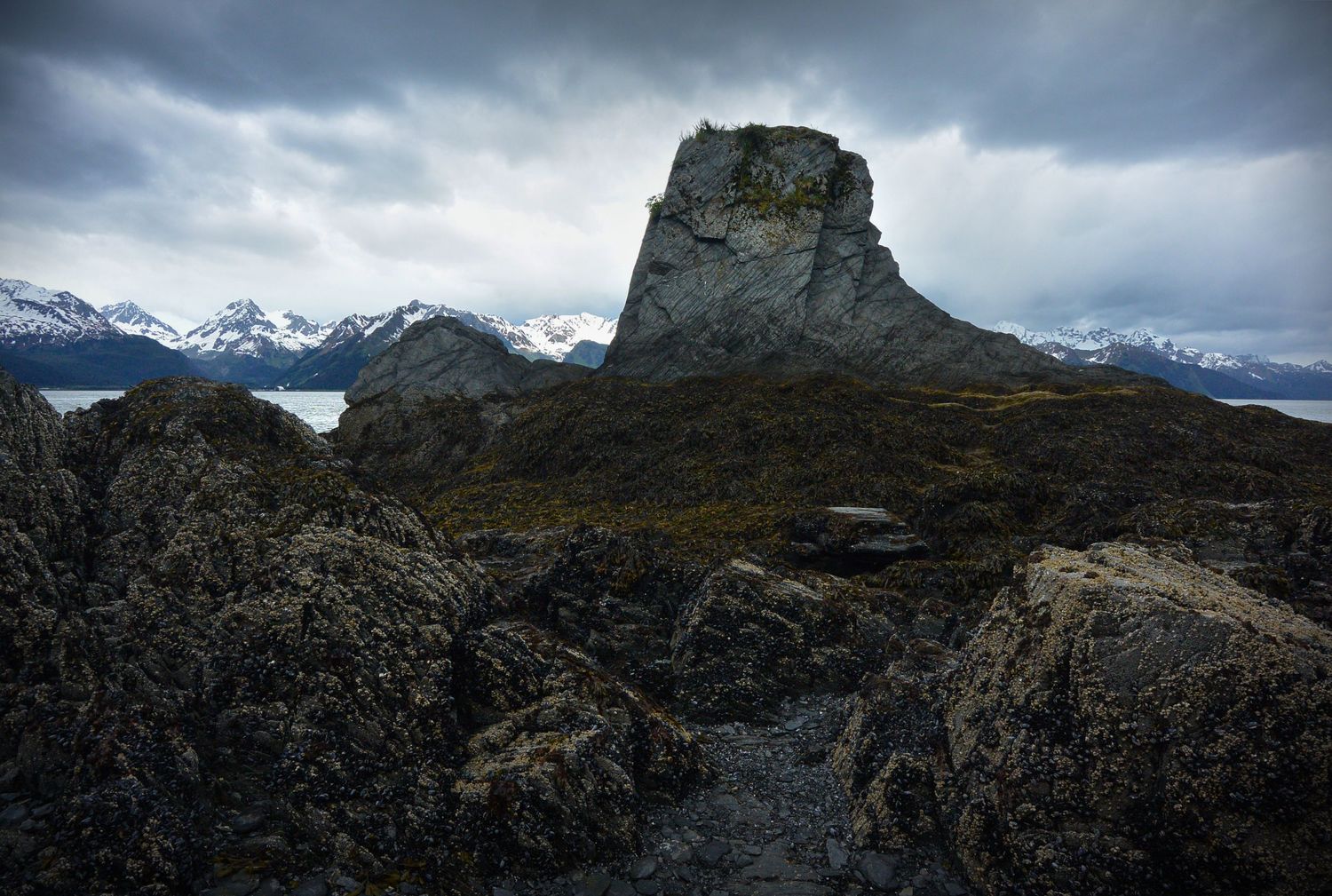 An imposing monument-like outcropping of bedrock projects into the sky on the Alaskan coast near Seward, covered in barnacles and seaweeds.