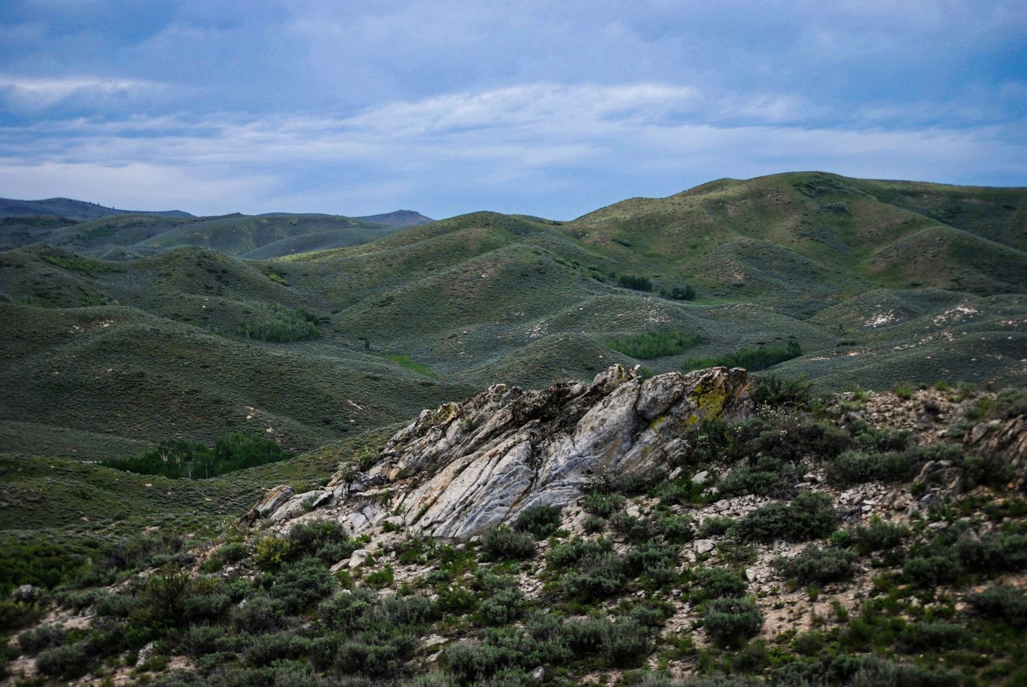 A landscape of soft green hills with an outcrop of rock in the foreground somewhere in Idaho.