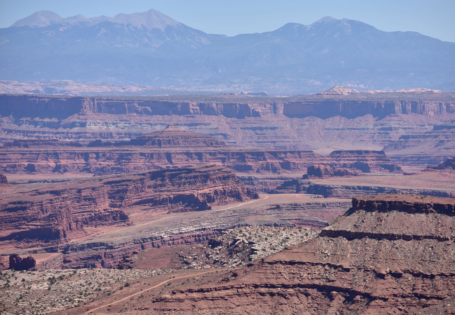 A telephoto view of a rugged red unvegetated canyons and ridges in Canyonlands National park, with mountains in the far distance.