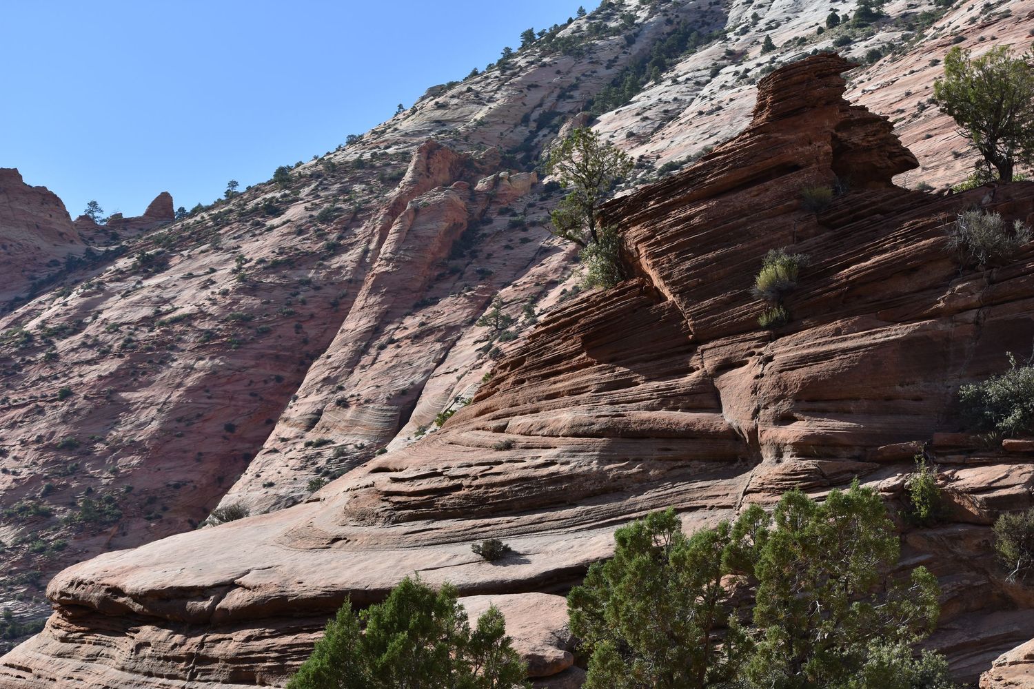 Intricately cross-bedded sandstone bedrock on the east side of Zion National Park sitting on the edge of huge cliffs, on a bright clear day.
