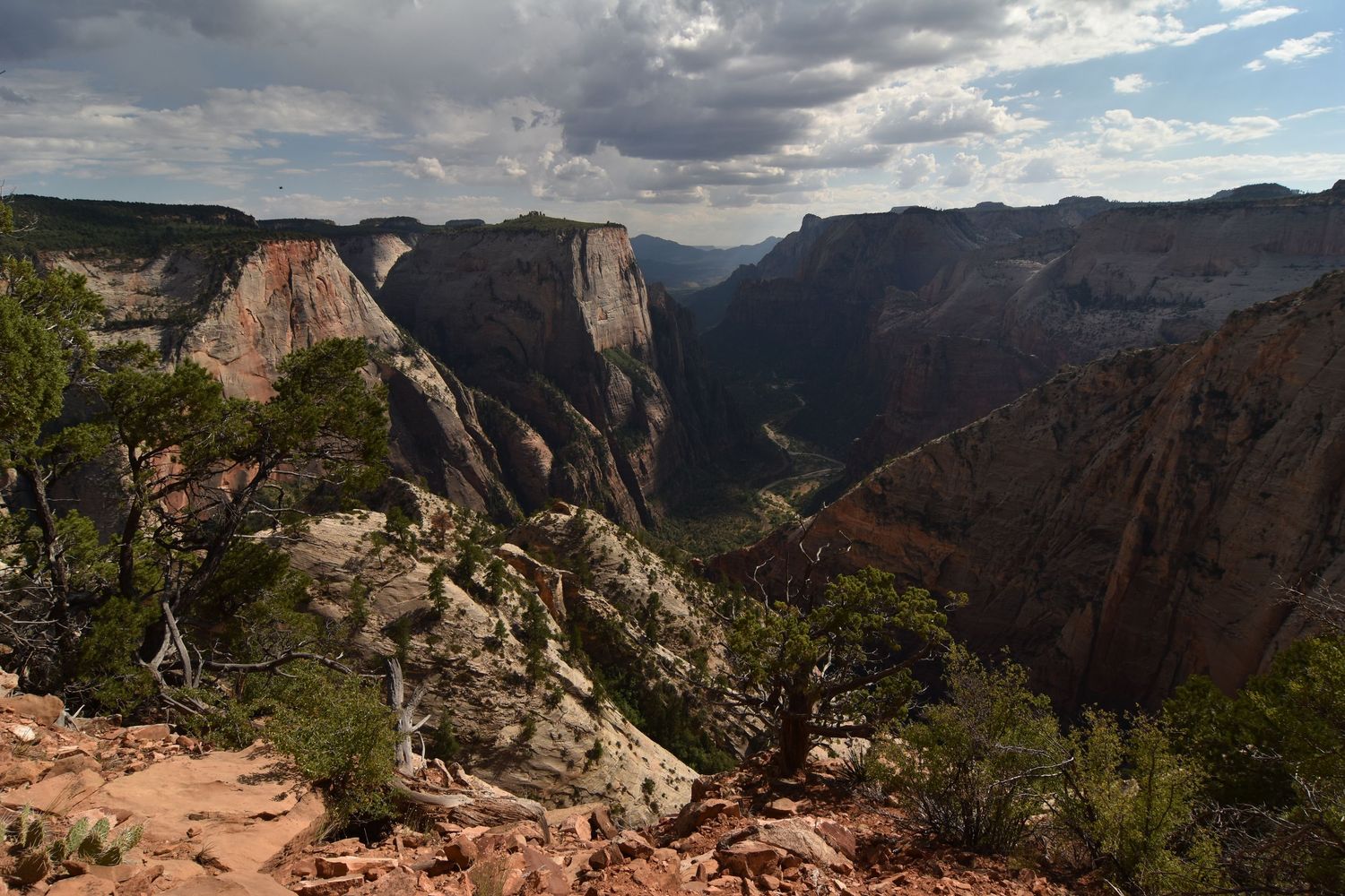 A wide angle view looking down into the main canyon of Zion National Park, with towering sandstone cliffs on either side and brush nearby.