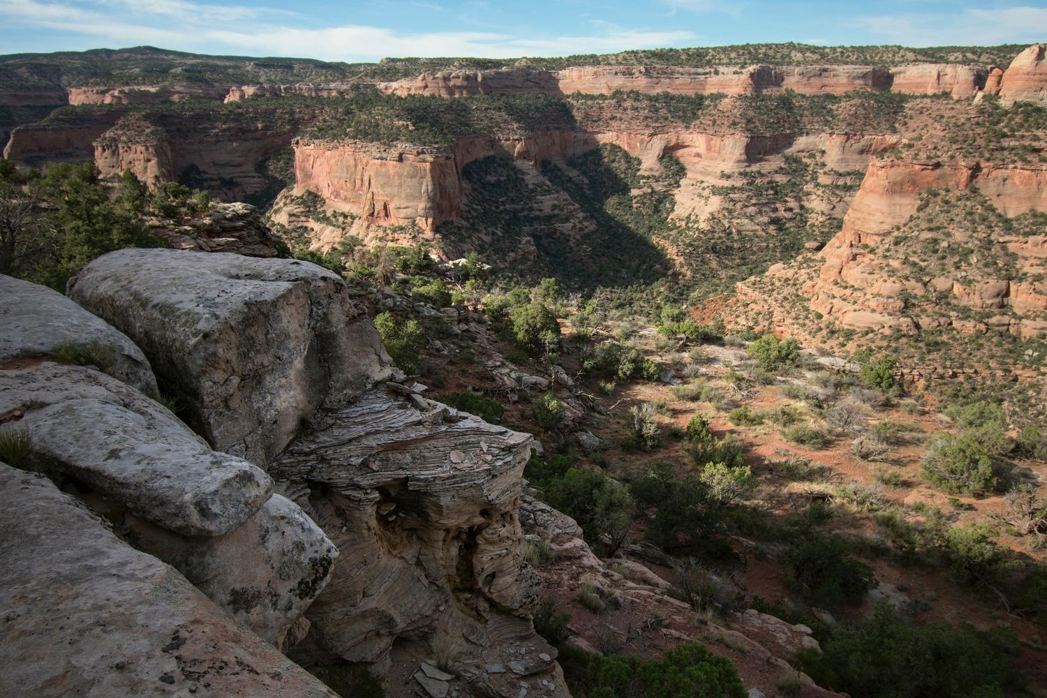 A valley near Colorado National Monument with white bedrock in the foreground and red sandstone curving canyon walls on the other side.