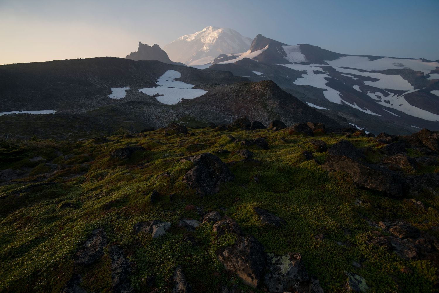 A view looking up towards a foggy sunrise-lit Mount Rainier with treeless slopes of snow and rock above rich mossy rock above Spray Park.