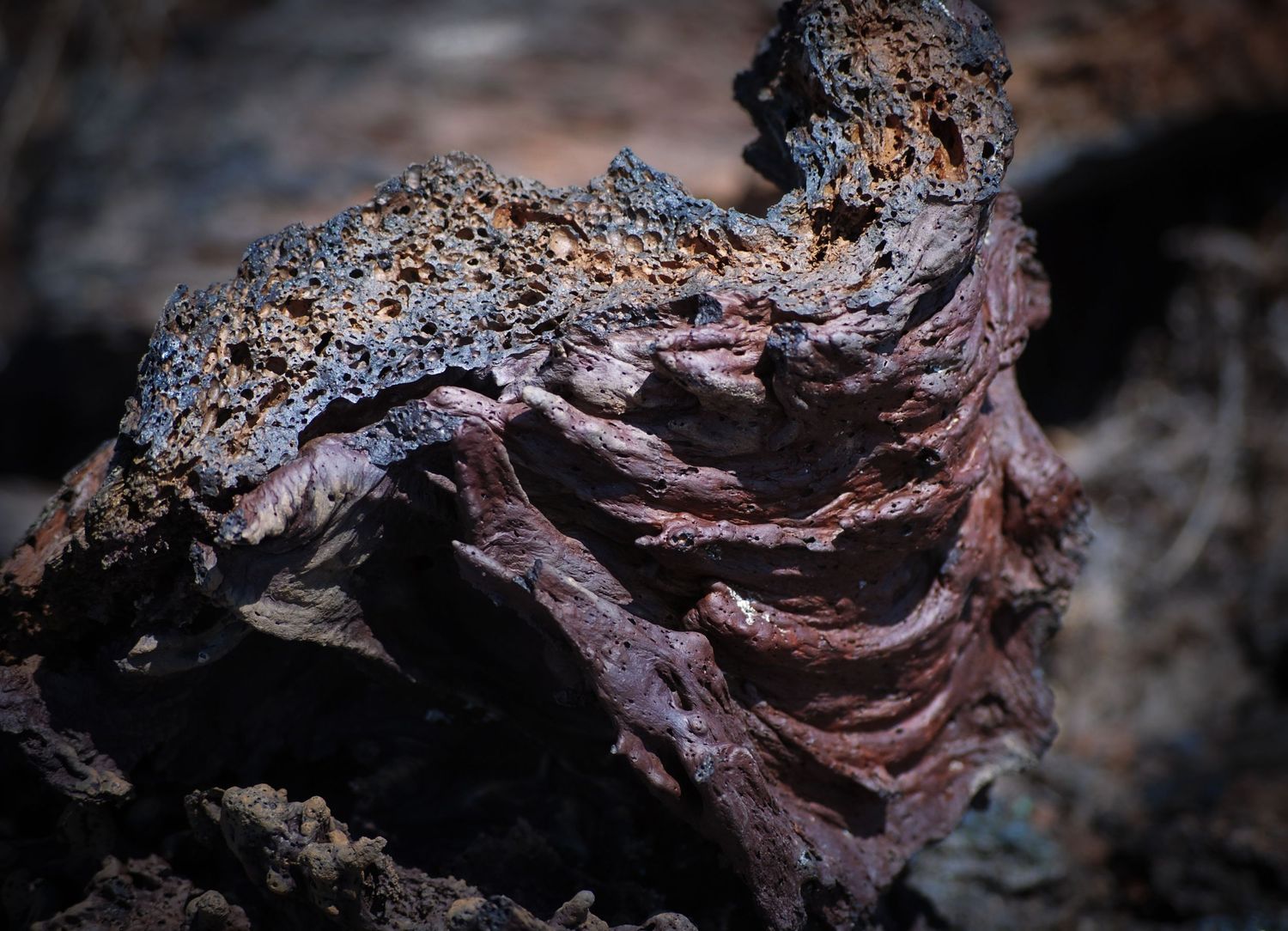 A close-up photo of a twisting red piece of igneous volcanic rock formed from a lava flow, with a crust-like top.